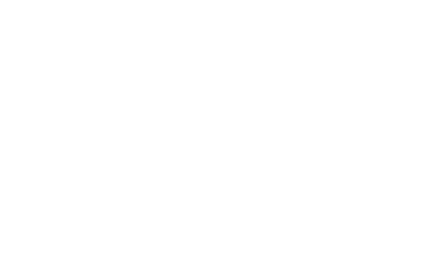 WTF AI – Veronique Schmitz