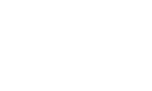 WTF AI – Veronique Schmitz